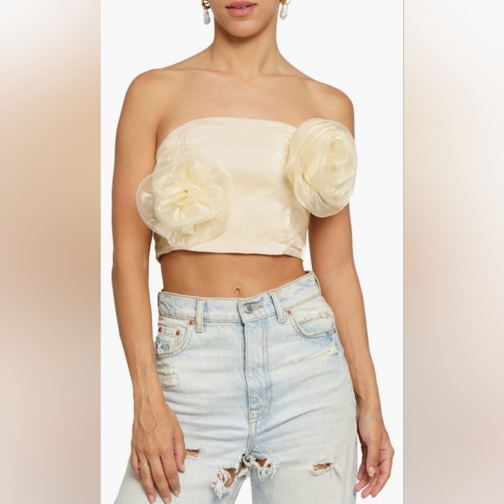 Elegant Beige, Top Know One Cares, flower strapless crop top, size L,women's top